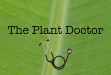 Screen shot of Plant Doctor app